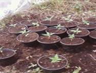 C:\Documents and Settings\Wizard\My Documents\VELJO\SPM_A0013.jpg